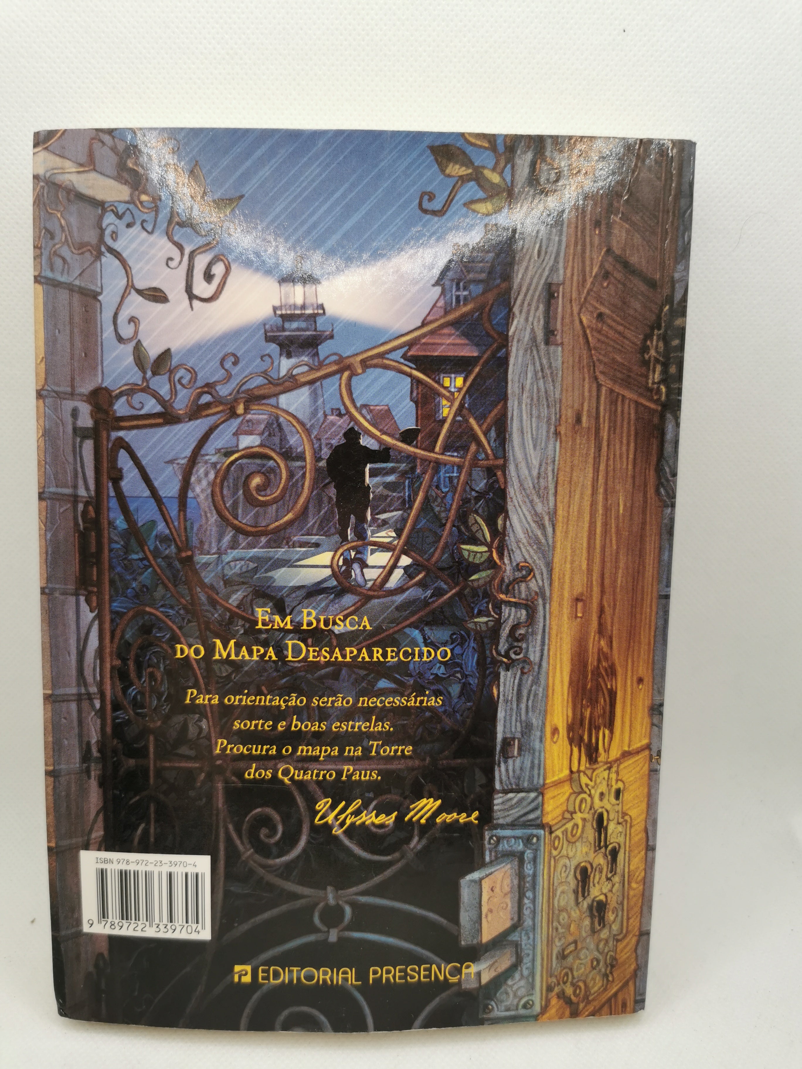 Livro Em Busca Do Mapa Desaparecido - USADO