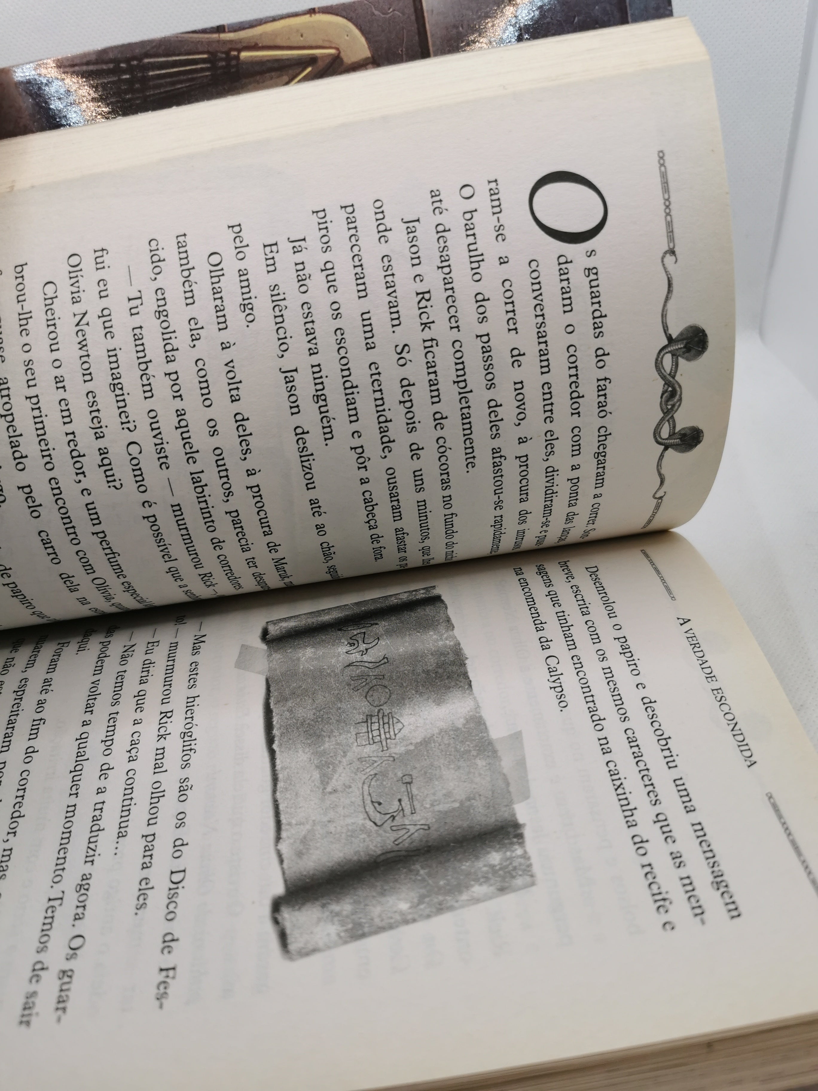 Livro Em Busca Do Mapa Desaparecido - USADO