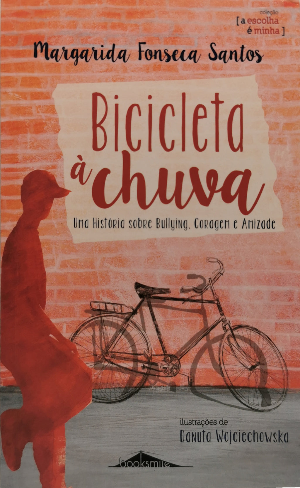 Livro Bicicleta à Chuva - USADO