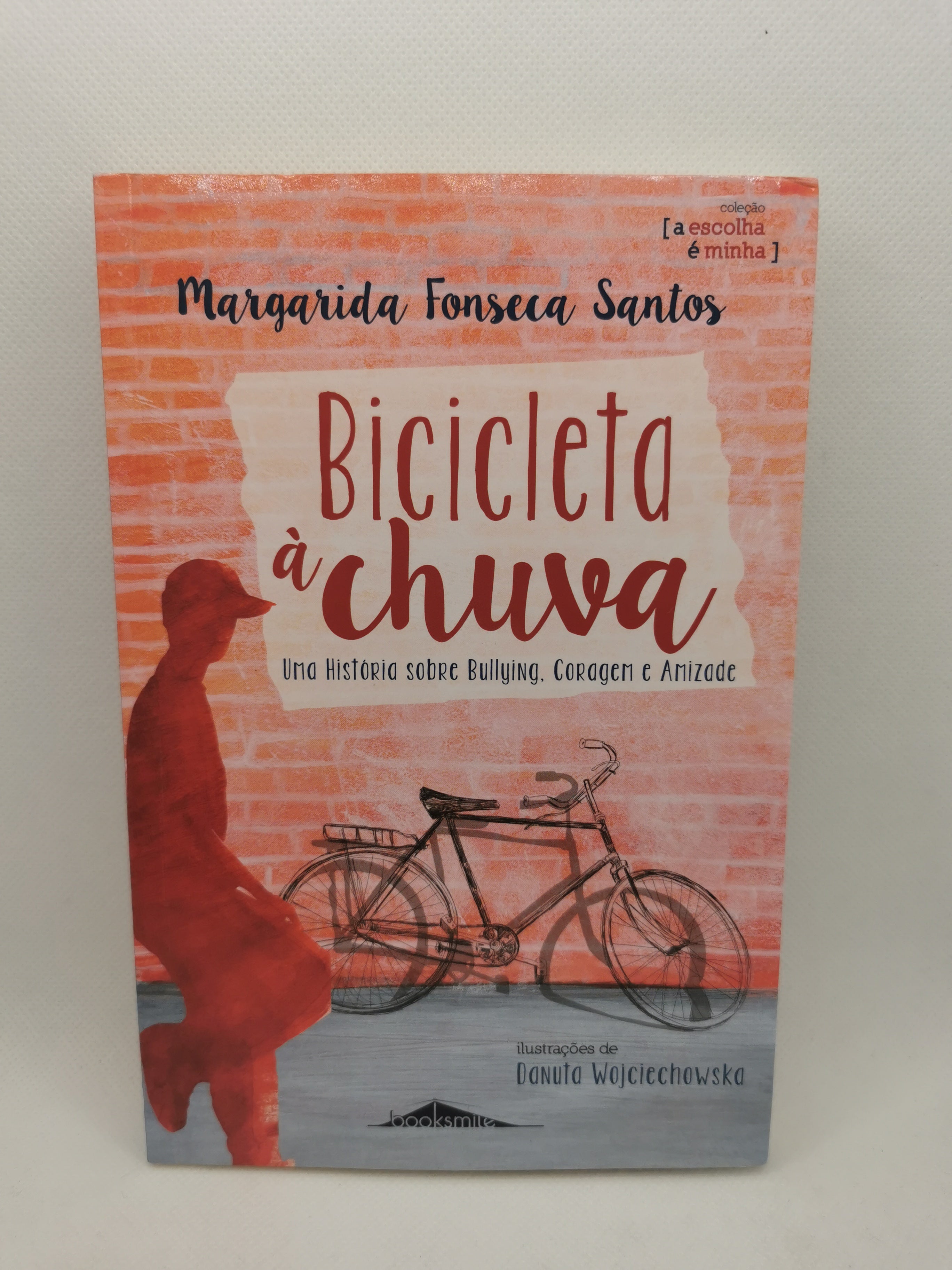 Livro Bicicleta à Chuva - USADO