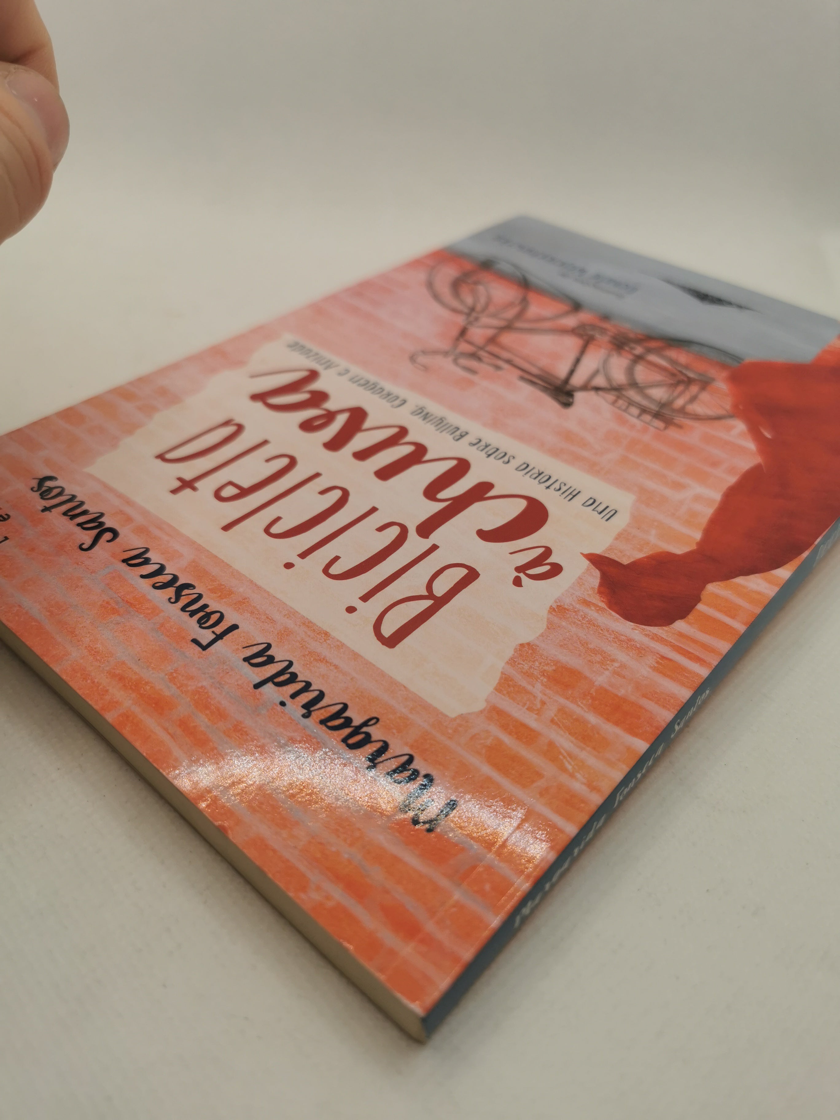 Livro Bicicleta à Chuva - USADO