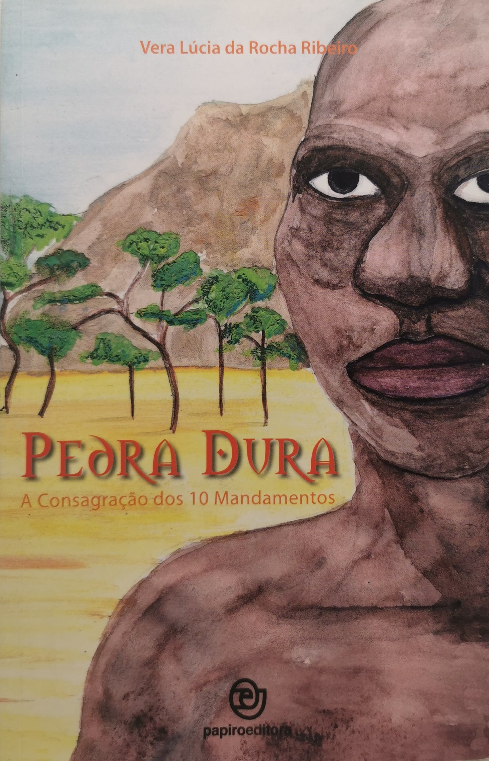 Livro Pedra Dura - USADO