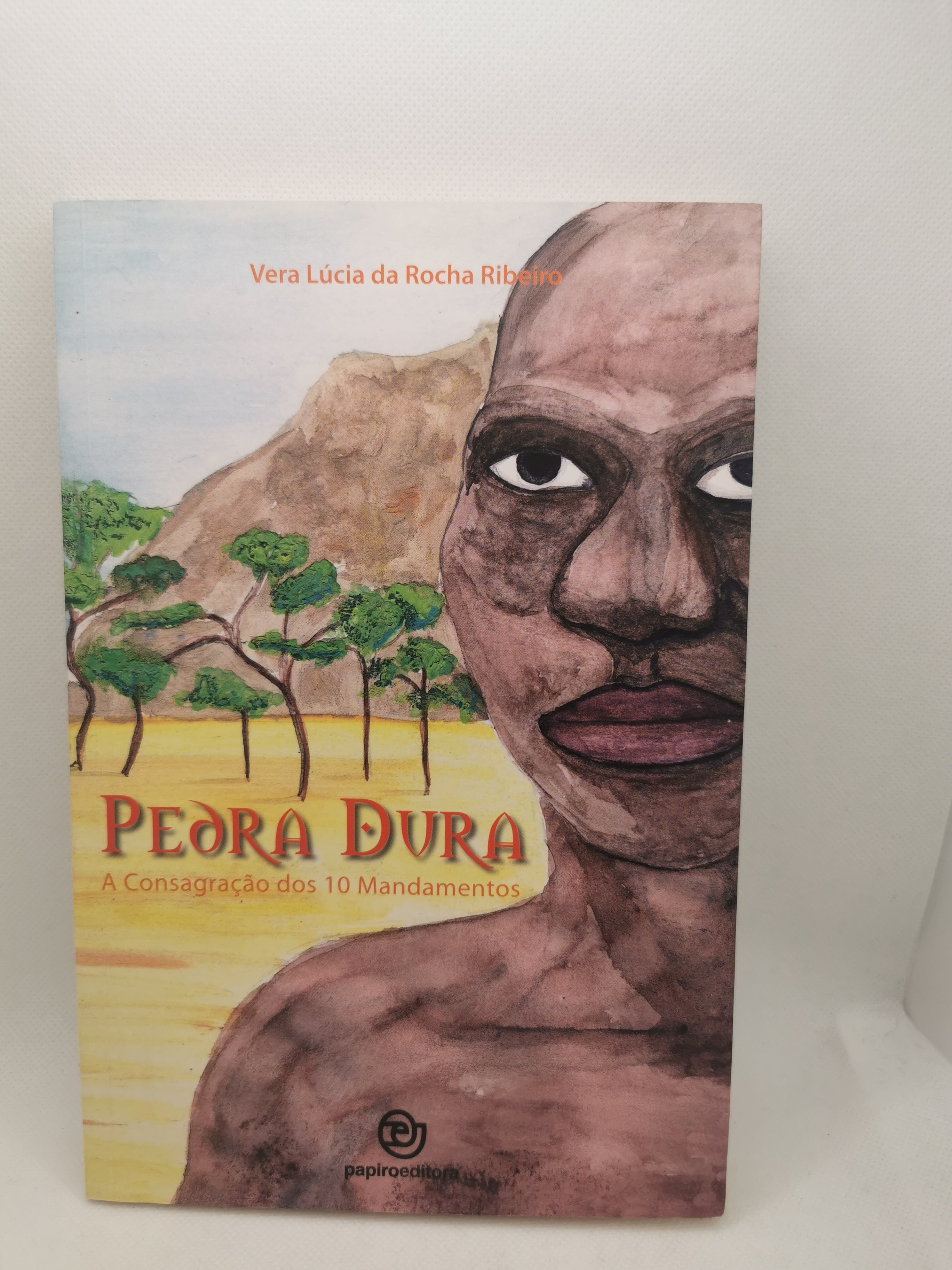 Livro Pedra Dura - USADO