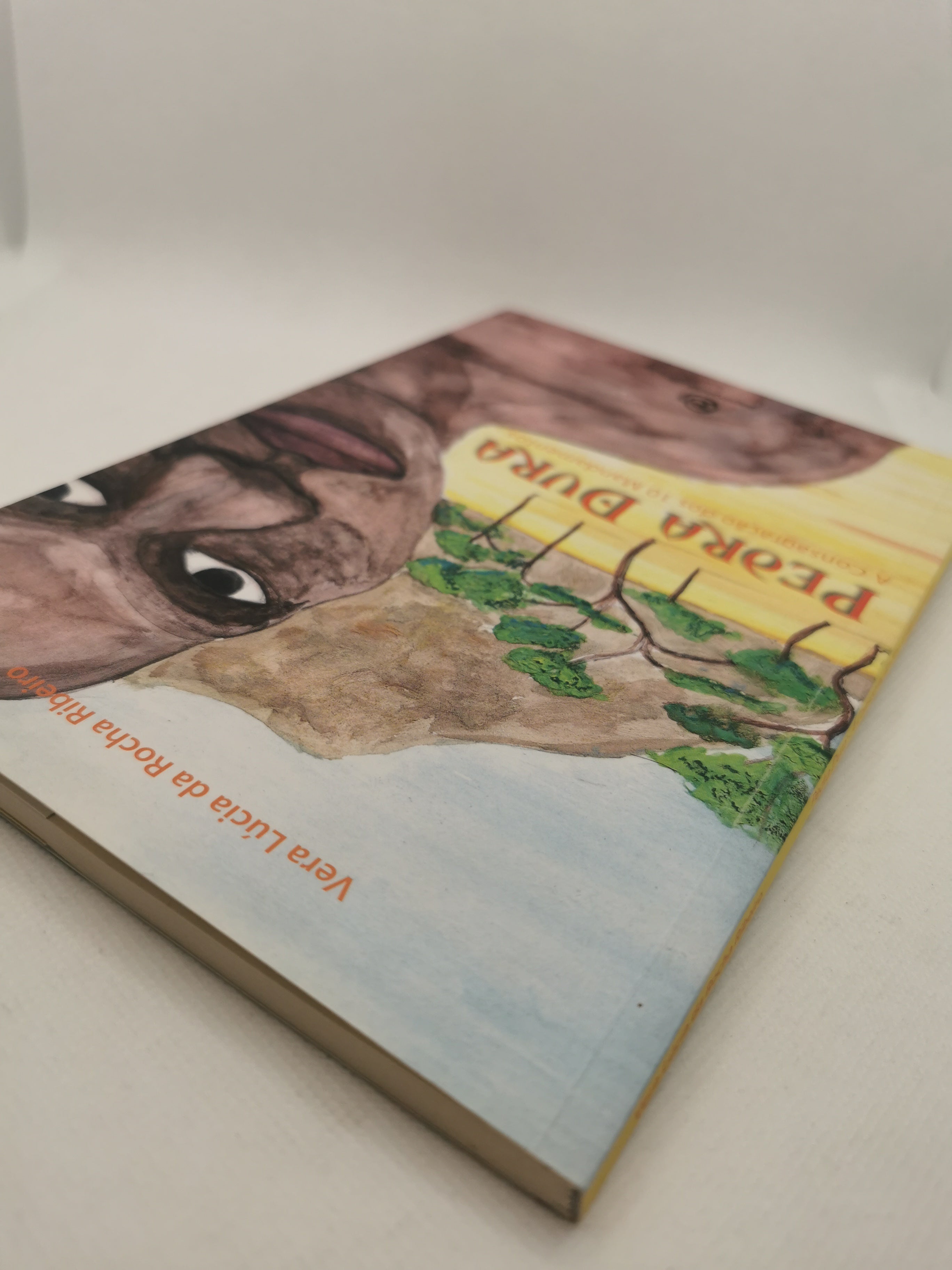 Livro Pedra Dura - USADO