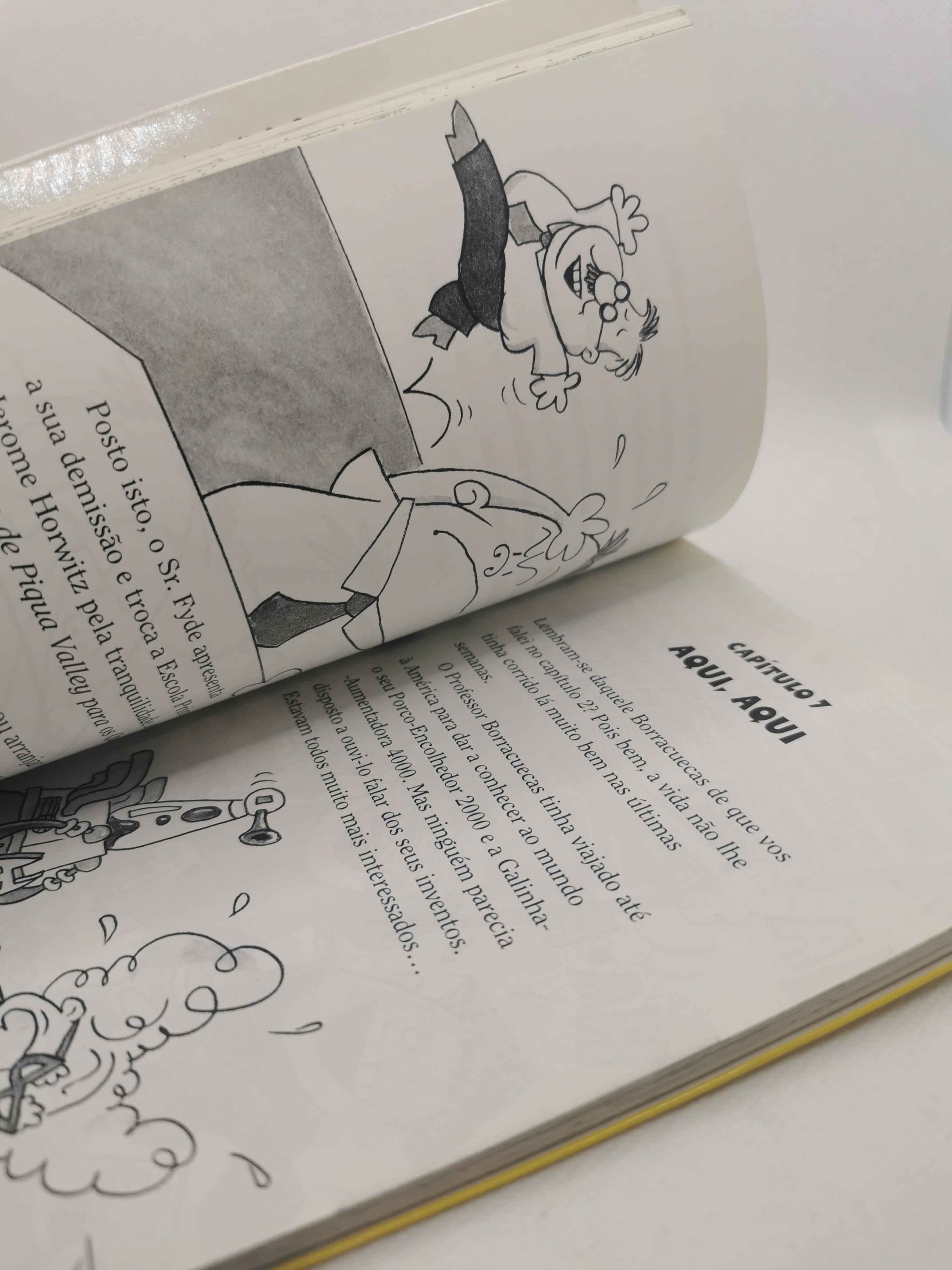 Livro O Capitão Cuecas e a Maquiavélica Maquinação do Professor Borracuecas - USADO