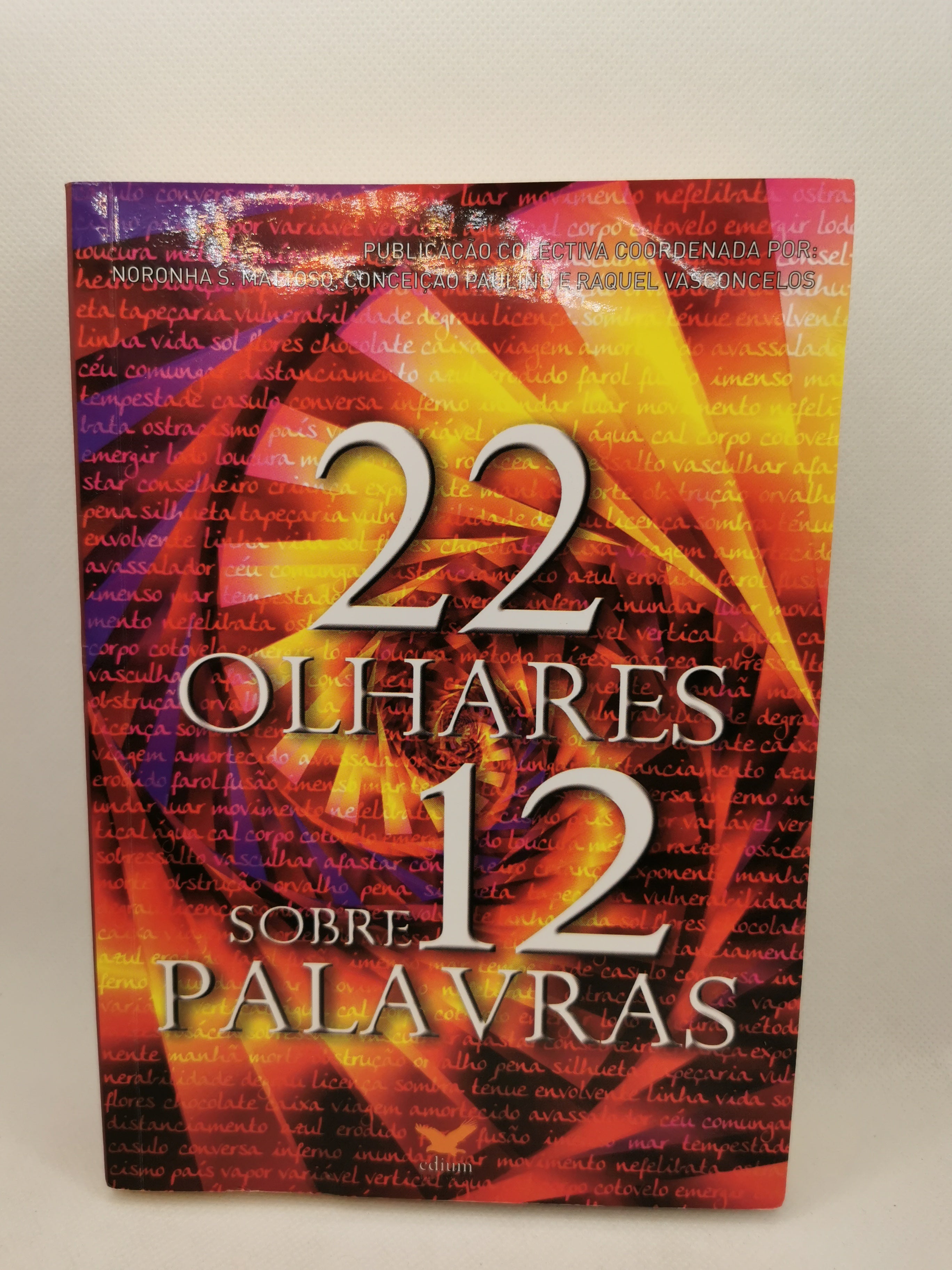 Livro 22 Olhares sobre 12 Palavras - USADO