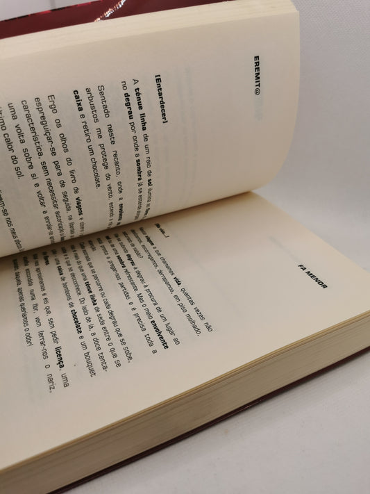 Livro 22 Olhares sobre 12 Palavras - USADO