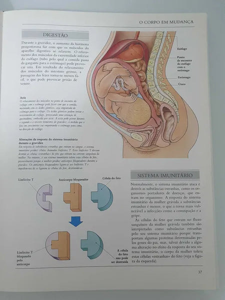 LIVRO Gravidez e Parto Cruz vermelha Portuguesa / Biblioteca Médica de Família - USADO