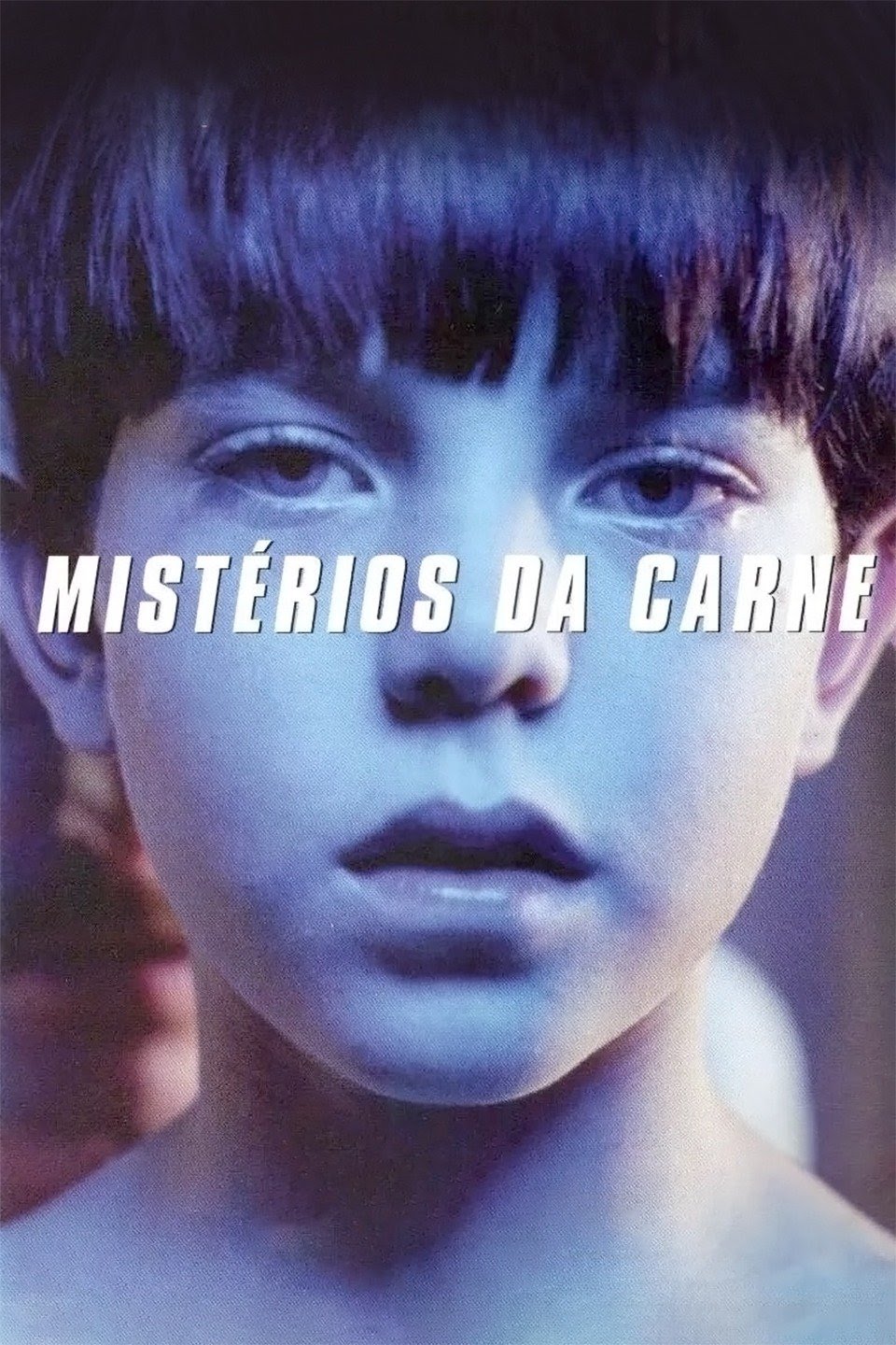 DVD Mysterious Skin - NOVO