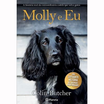 Livro Molly e Eu de Colin Butcher - USADO